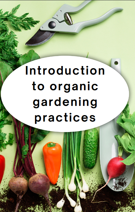 Organic Gardening Basics