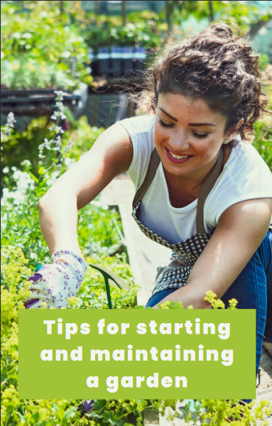 Basic Gardening Tips